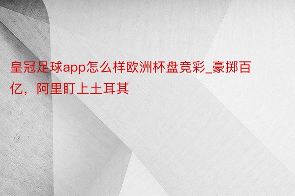 皇冠足球app怎么样欧洲杯盘竞彩_豪掷百亿，阿里盯上土耳其