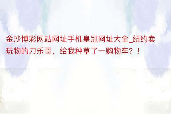 金沙博彩网站网址手机皇冠网址大全_纽约卖玩物的刀乐哥，给我种草了一购物车？！